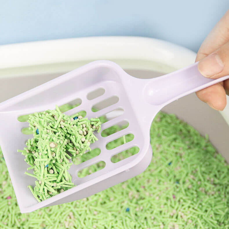 BOTO Wholesale Reasonably priced Colourful Plastic Cat Litter Scoop - Sturdy and Put on-Resistant Pet Cleansing Shovel